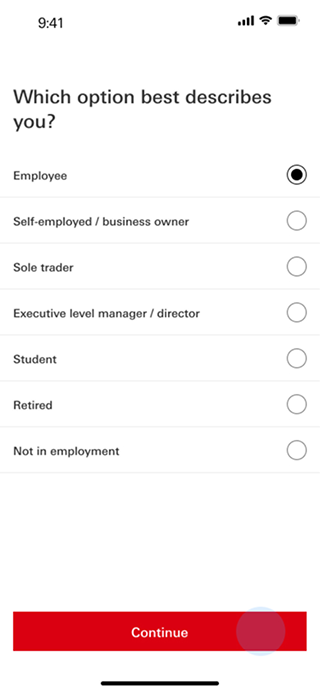 HSBC onboarding — Employment options
